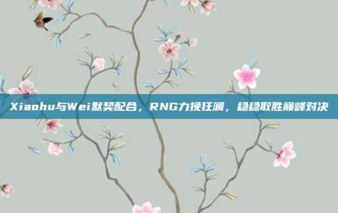 Xiaohu与Wei默契配合，RNG力挽狂澜，稳稳取胜巅峰对决