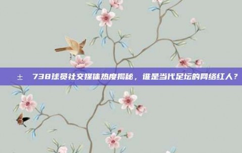 📱✨ 738球员社交媒体热度揭秘，谁是当代足坛的网络红人？