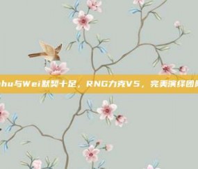 Xiaohu与Wei默契十足，RNG力克V5，完美演绎团队力量