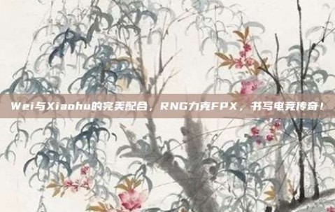 Wei与Xiaohu的完美配合，RNG力克FPX，书写电竞传奇！