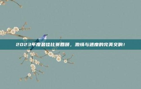 2023年度最佳比赛回顾，激情与速度的完美交响！