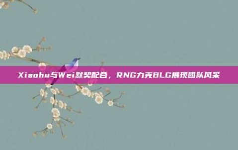 Xiaohu与Wei默契配合，RNG力克BLG展现团队风采