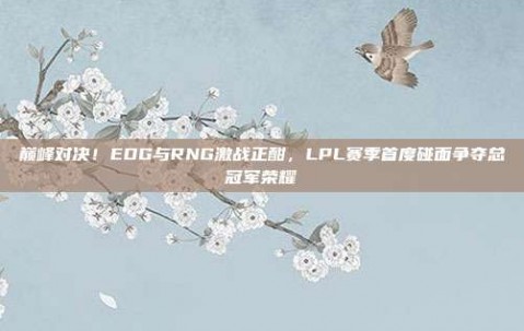 巅峰对决！EDG与RNG激战正酣，LPL赛季首度碰面争夺总冠军荣耀