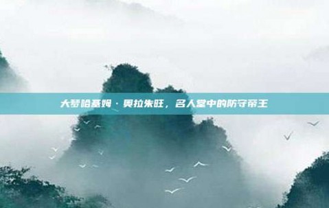 大梦哈基姆·奥拉朱旺，名人堂中的防守帝王