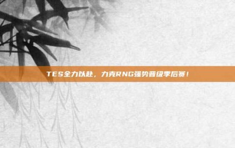 TES全力以赴，力克RNG强势晋级季后赛！