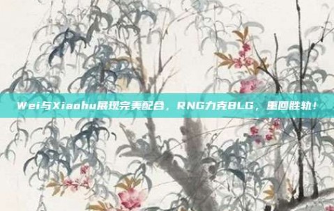 Wei与Xiaohu展现完美配合，RNG力克BLG，重回胜轨！