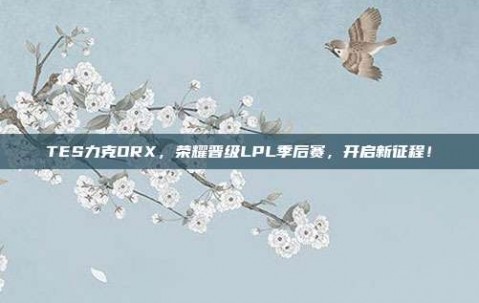 TES力克DRX，荣耀晋级LPL季后赛，开启新征程！