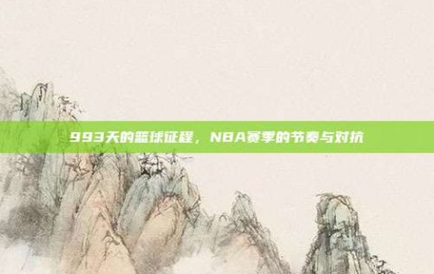 993天的篮球征程，NBA赛季的节奏与对抗