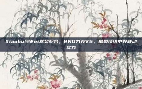 Xiaohu与Wei默契配合，RNG力克V5，展现顶级中野联动实力