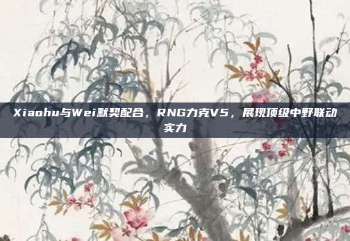 Xiaohu与Wei默契配合，RNG力克V5，展现顶级中野联动实力