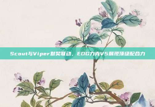 Scout与Viper默契联动，EDG力克V5展现顶级配合力