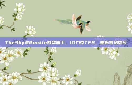 TheShy与Rookie默契联手，IG力克TES，重振赛场雄风