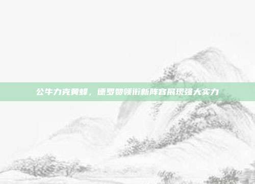 公牛力克黄蜂，德罗赞领衔新阵容展现强大实力