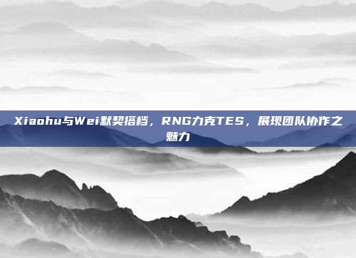 Xiaohu与Wei默契搭档，RNG力克TES，展现团队协作之魅力