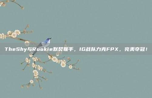 TheShy与Rookie默契联手，IG战队力克FPX，完美夺冠！