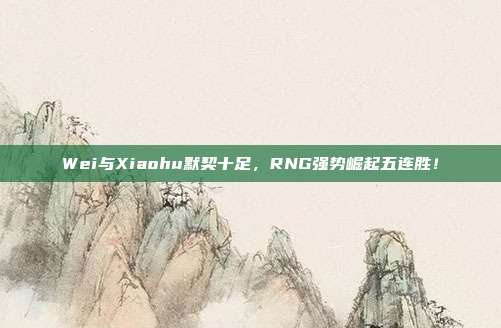 Wei与Xiaohu默契十足，RNG强势崛起五连胜！