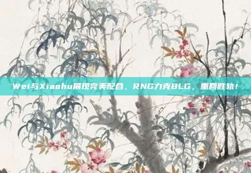 Wei与Xiaohu展现完美配合，RNG力克BLG，重回胜轨！