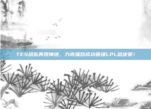 TES战队再现神迹，力克强敌成功晋级LPL总决赛！