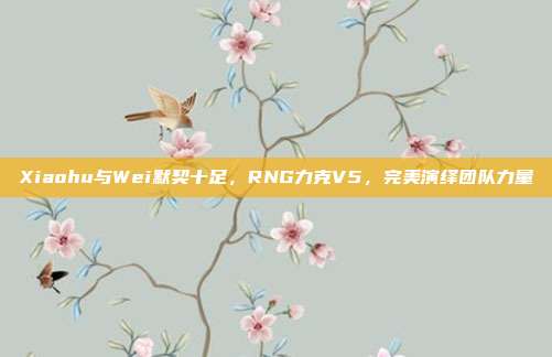 Xiaohu与Wei默契十足，RNG力克V5，完美演绎团队力量