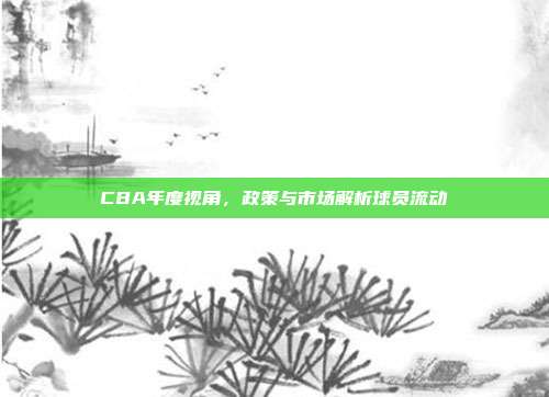 CBA年度视角，政策与市场解析球员流动