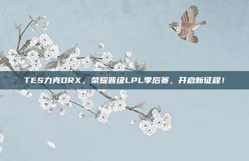 TES力克DRX，荣耀晋级LPL季后赛，开启新征程！